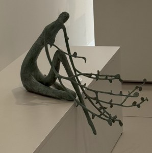 IMG_5569